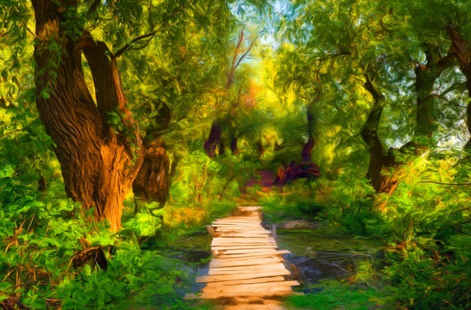 Small wooden bridge over creek in forest